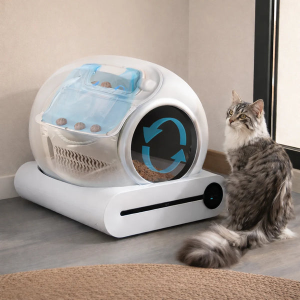 Litière Automatique Connectée | KUMA