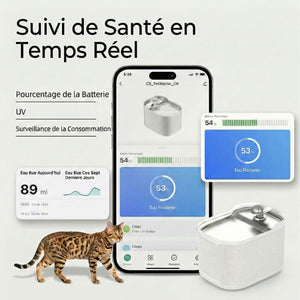 Fontaine à Eau Connectée pour Chat | NORDFLOW