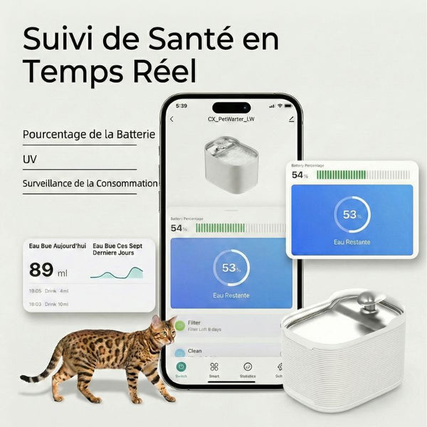 Fontaine à Eau Connectée pour Chat | NORDFLOW